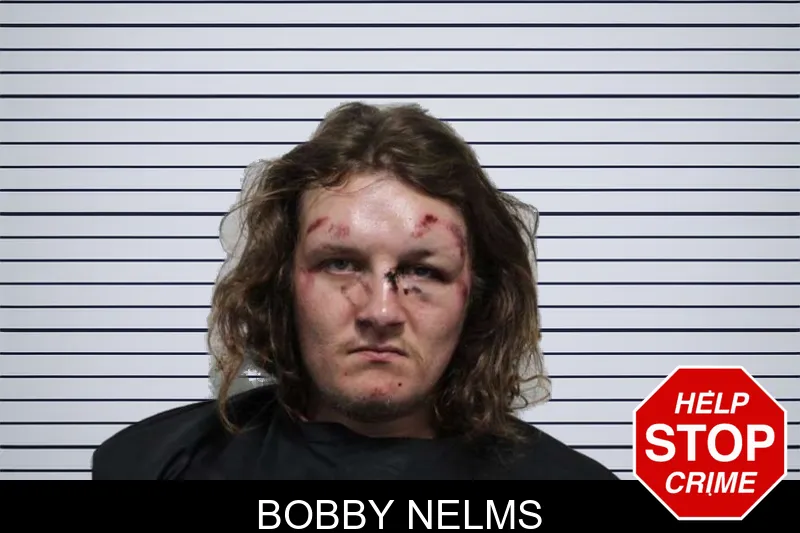Bobby Nelms mugshot