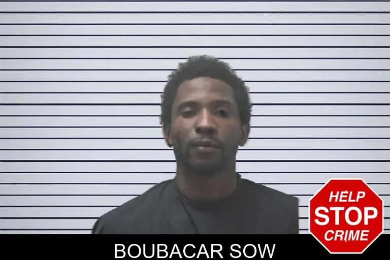 Boubacar Sow mugshot – Coweta County , Georgia Boubacar Sow