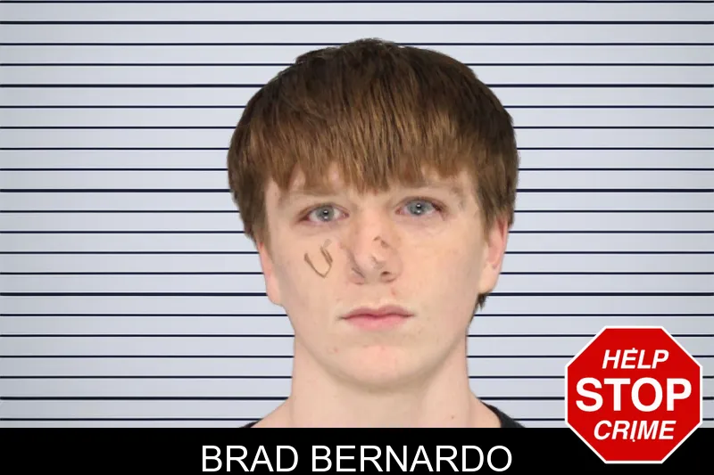 Brad Bernardo mugshot – Cobb County , Georgia Brad Bernardo mugshot