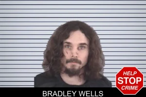 Bradley Wells mugshot