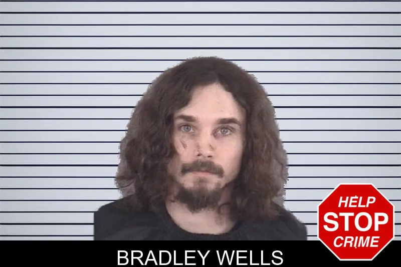 Bradley Wells mugshot