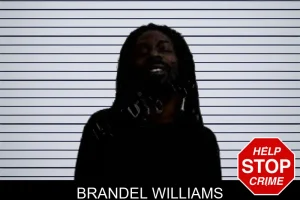 Brandel Williams mugshot
