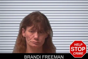 Brandi Freeman mugshot