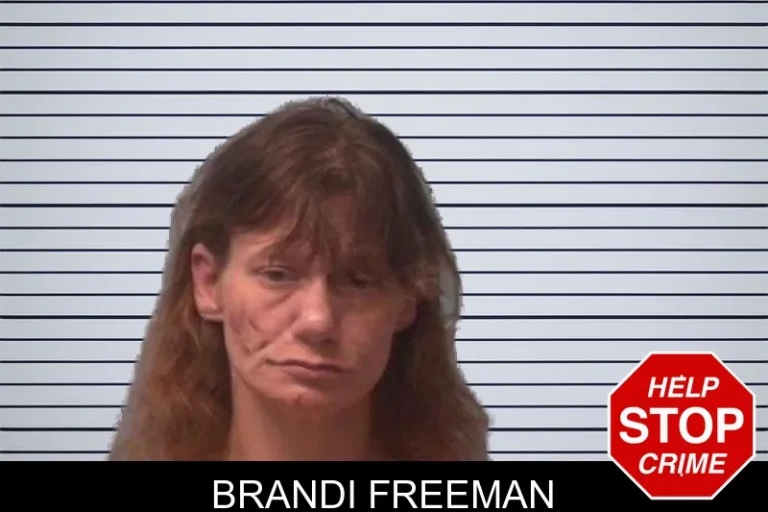 Brandi Freeman mugshot β Franklin County , Georgia Brandi Freeman