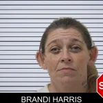 Brandi Harris mugshot – Jones County , Georgia Brandi Harris mugshot