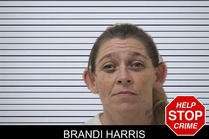 Brandi Harris mugshot – Jones County , Georgia Brandi Harris mugshot