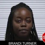 Brandi Turner mugshot