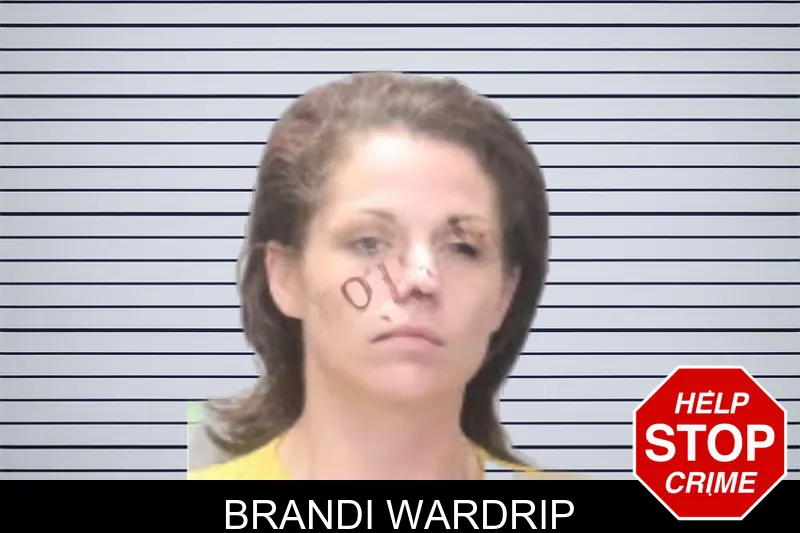 Brandi Wardrip mugshot