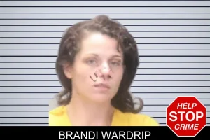 Brandi Wardrip mugshot