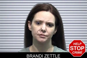 Brandi Zettle mugshot