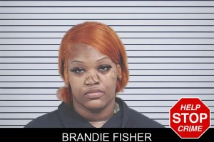 Brandie Fisher mugshot