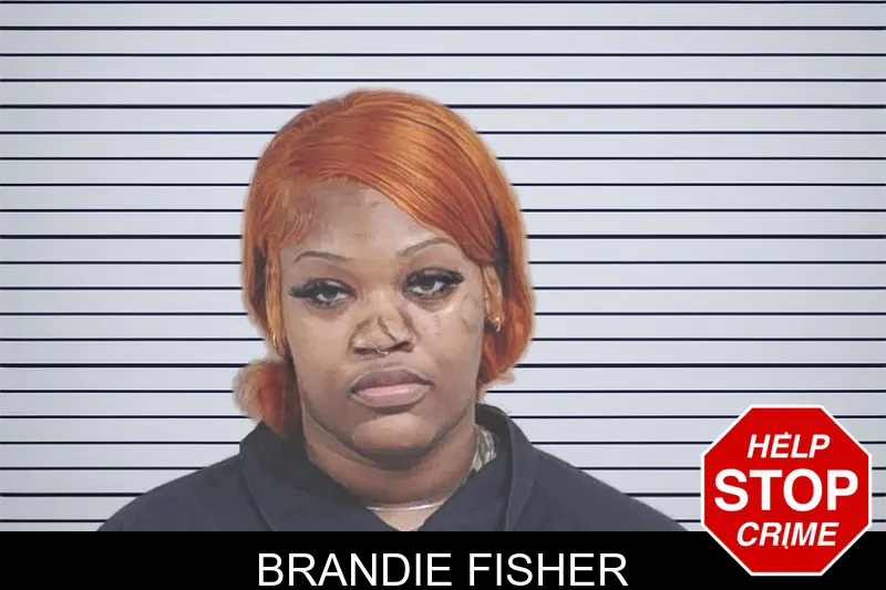 Brandie Fisher mugshot