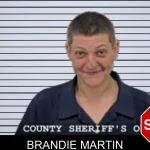 Brandie Martin mugshot