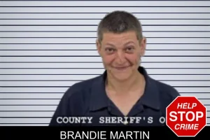 Brandie Martin mugshot