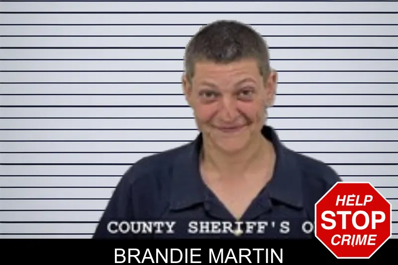 Brandie Martin mugshot