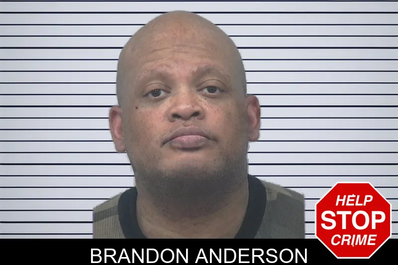 Brandon Anderson mugshot