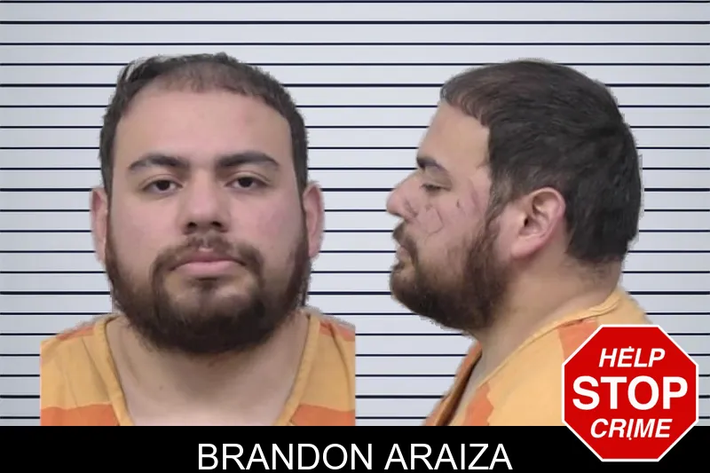 Brandon Araiza mugshot