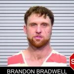 Brandon Bradwell mugshot