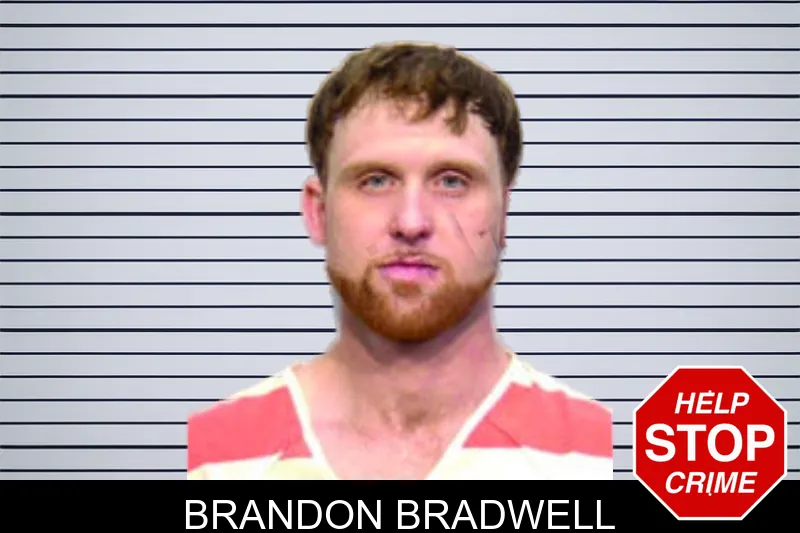 Brandon Bradwell mugshot