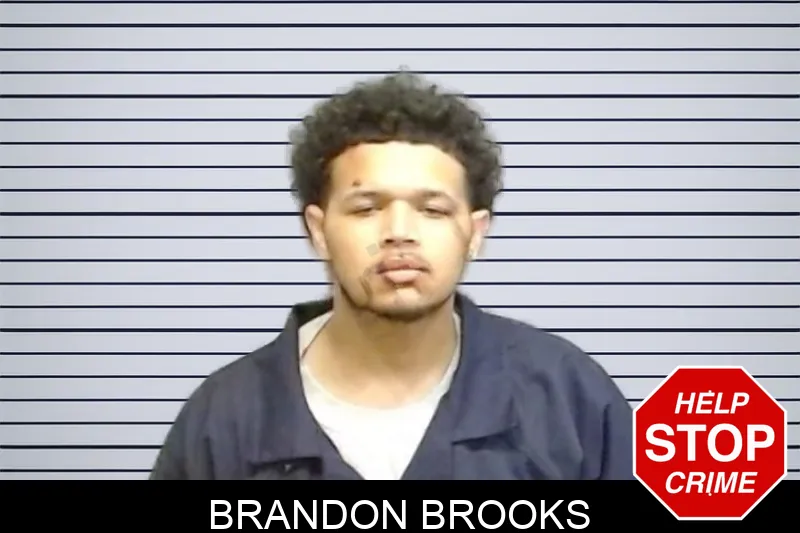 Brandon Brooks mugshot