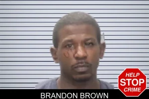 Brandon Brown mugshot