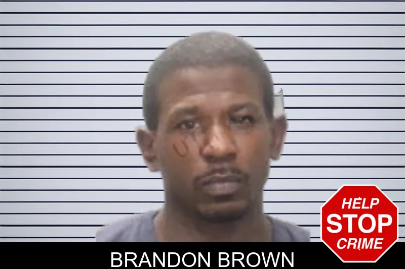 Brandon Brown mugshot