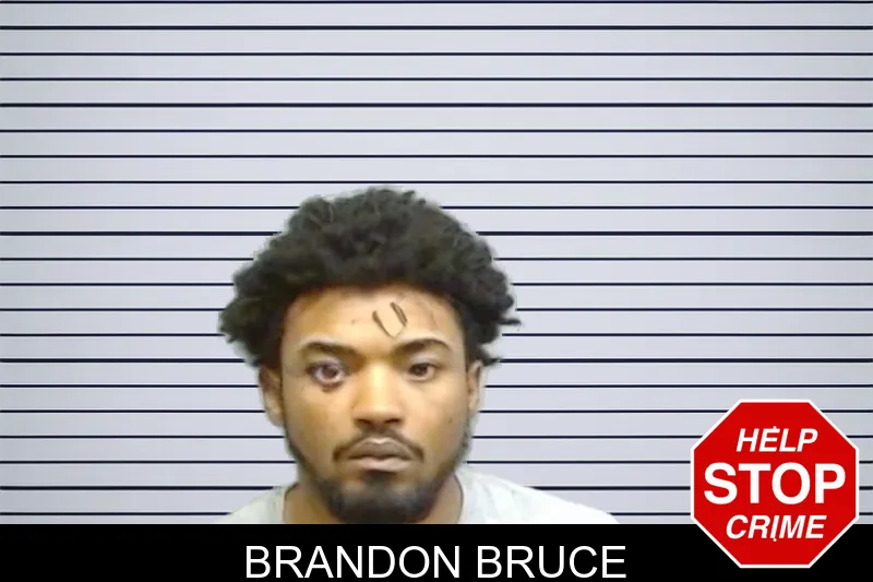 Brandon Bruce mugshot