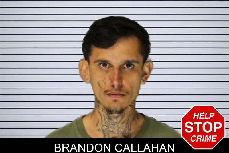 Brandon Callahan mugshot