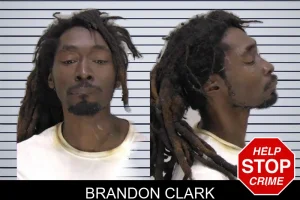 Brandon Clark mugshot