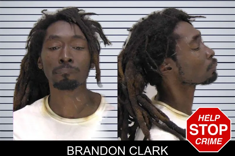 Brandon Clark mugshot