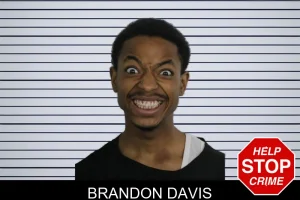Brandon Davis mugshot