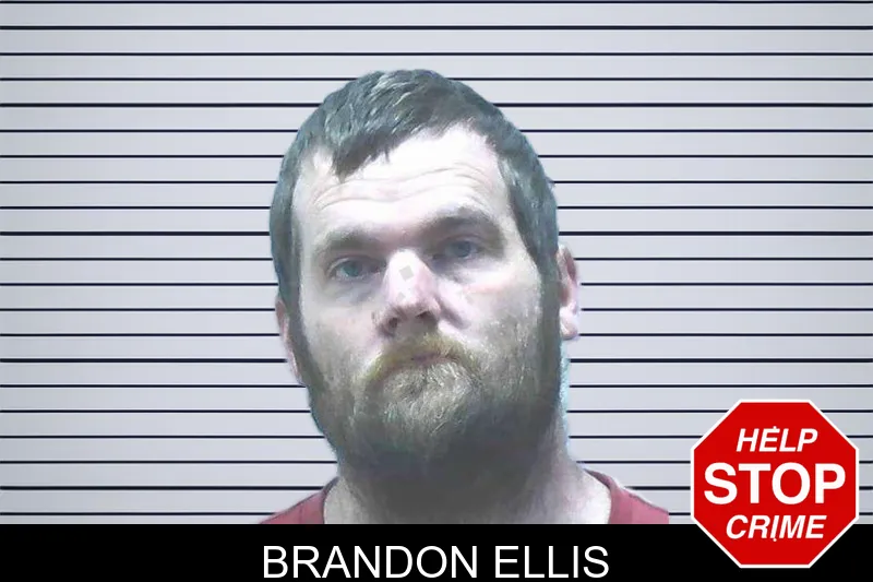 Brandon Ellis mugshot