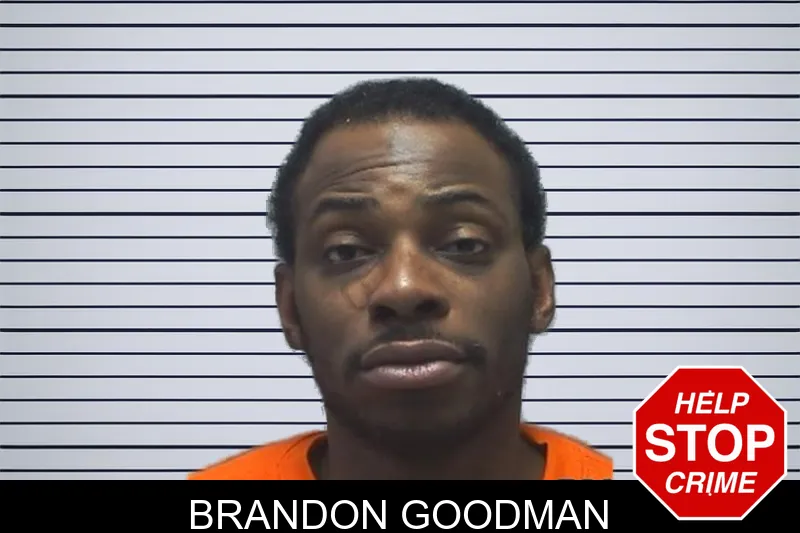 Brandon Goodman mugshot