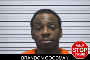 Brandon Goodman mugshot