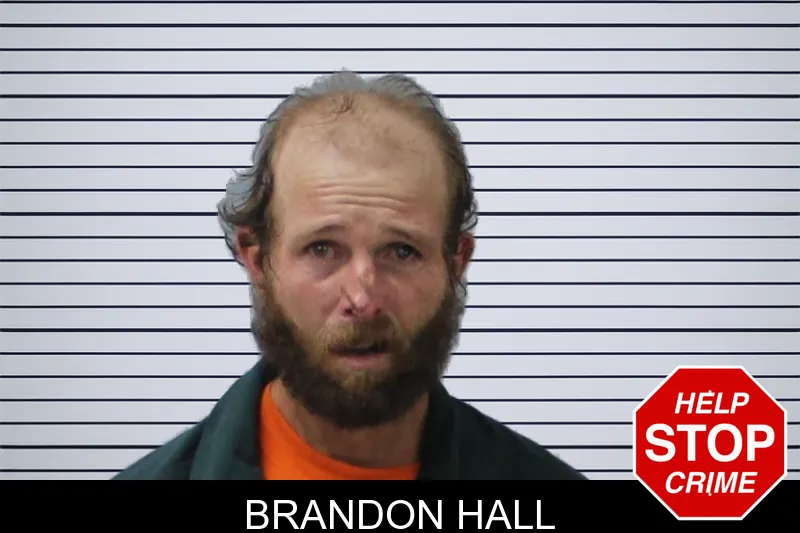 Brandon Hall mugshot – Mcintosh County , Georgia Brandon Hall mugshot