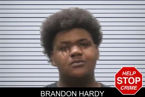 Brandon Hardy mugshot