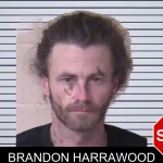 Brandon Harrawood mugshot – Walker County , Georgia Brandon Harrawood mugshot