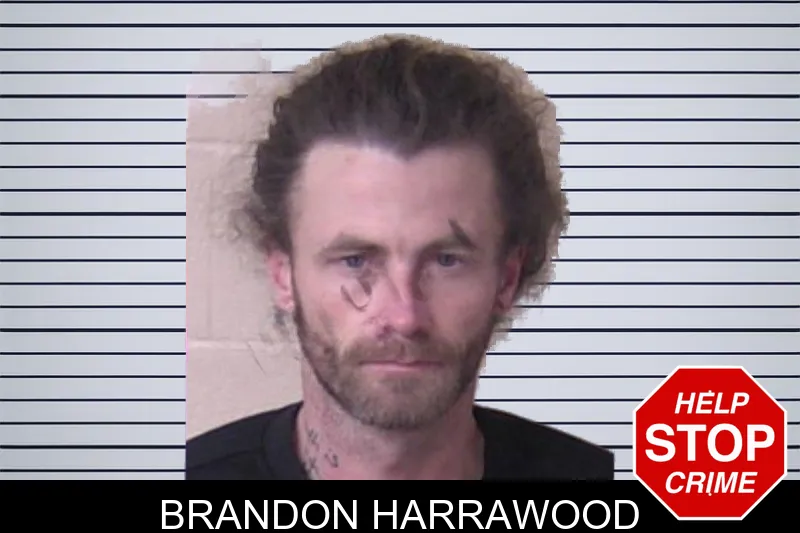 Brandon Harrawood mugshot – Walker County , Georgia Brandon Harrawood mugshot
