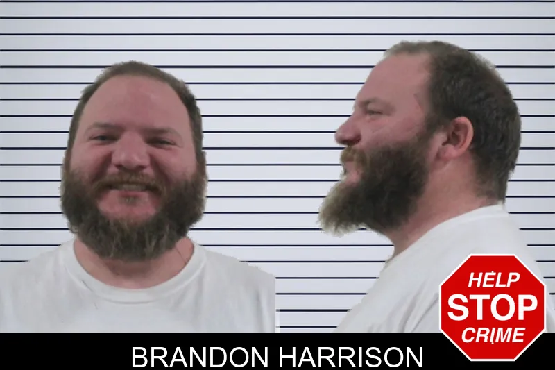 Brandon Harrison mugshot – Houston County , Georgia Brandon Harrison mugshot