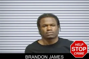 Brandon James mugshot