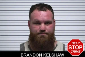 Brandon Kelshaw mugshot