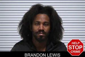 Brandon Lewis mugshot
