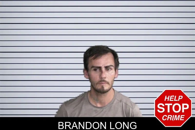 Brandon Long mugshot – Twiggs County , Georgia Brandon Long mugshot