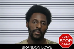 Brandon Lowe mugshot