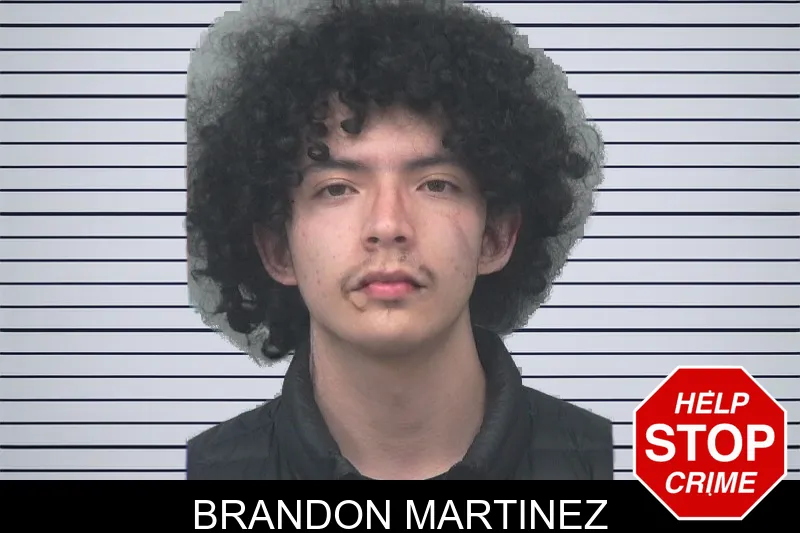 Brandon Martinez mugshot