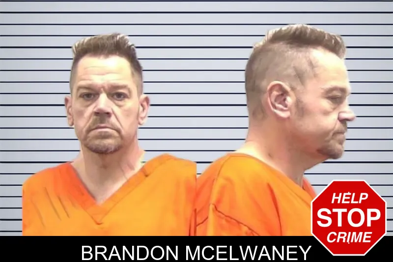 Brandon McElwaney mugshot
