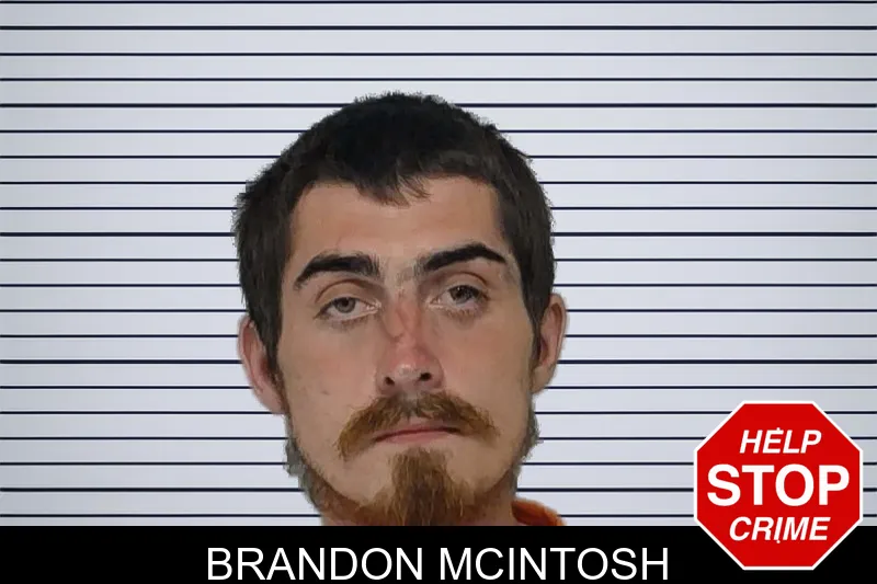 Brandon McIntosh mugshot