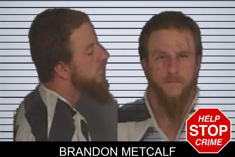 Brandon Metcalf mugshot – Barrow County , Georgia Brandon Metcalf