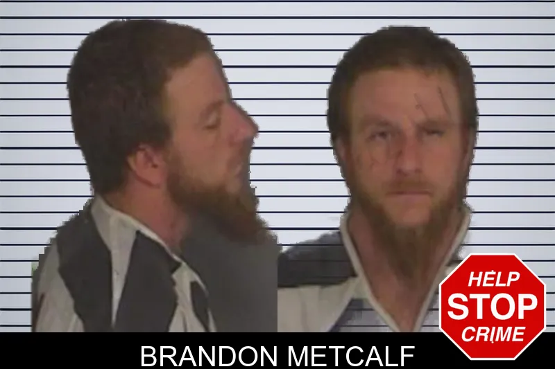 Brandon Metcalf mugshot