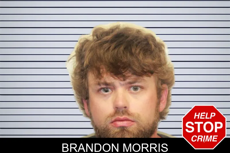 Brandon Morris mugshot